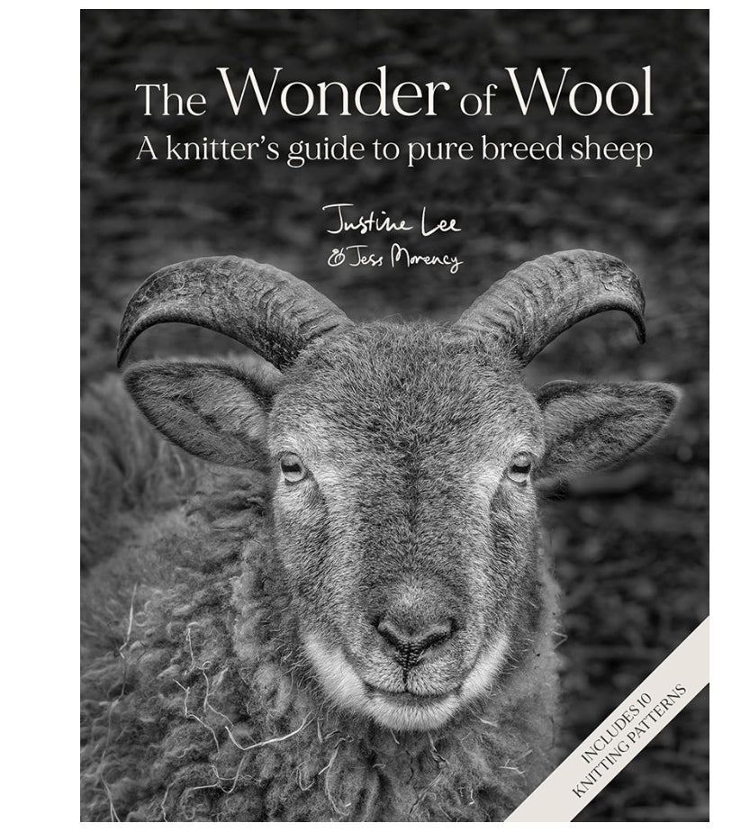The Wonder of Wool