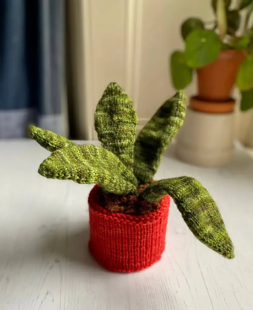 succulent plant kits Succulent Plant Knitting Kit