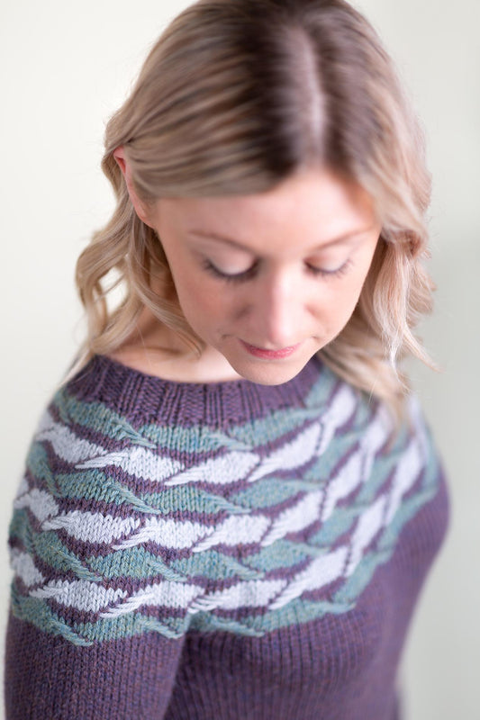 Bold Beginners Knits