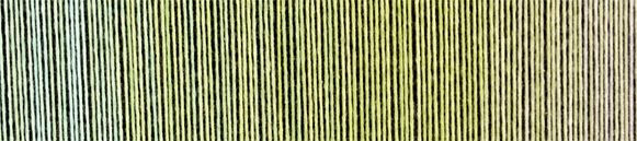Zauberball Cotton