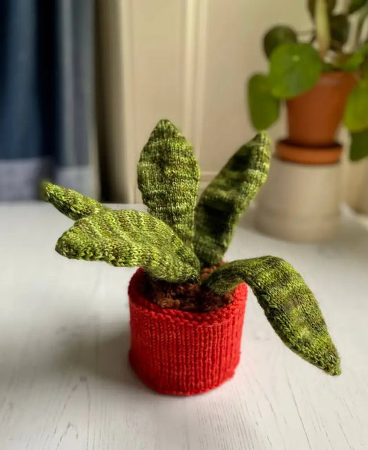 Succulent Plant Knitting Kit
