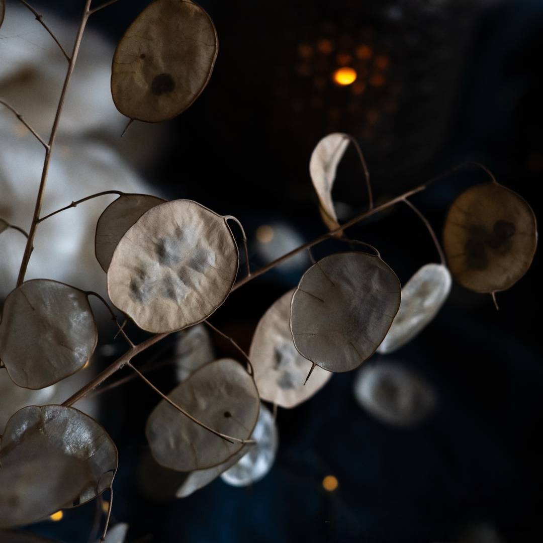 Fly Me to the Moon advent calendar pre-order
