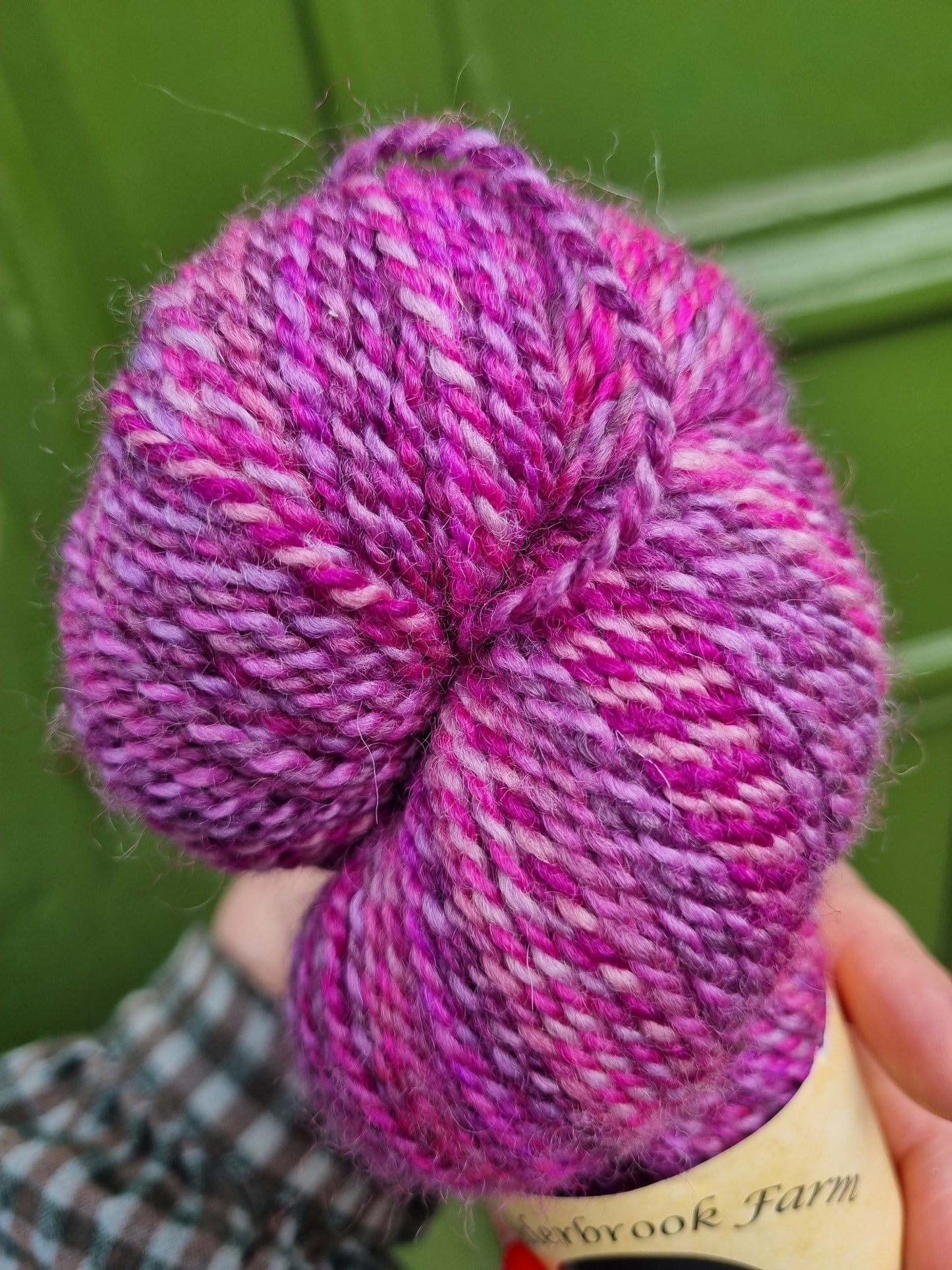 Entropy DK Pre-Order